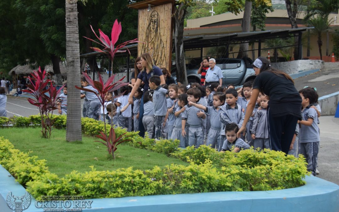 Niños de inicial aprenden sobre las plantas